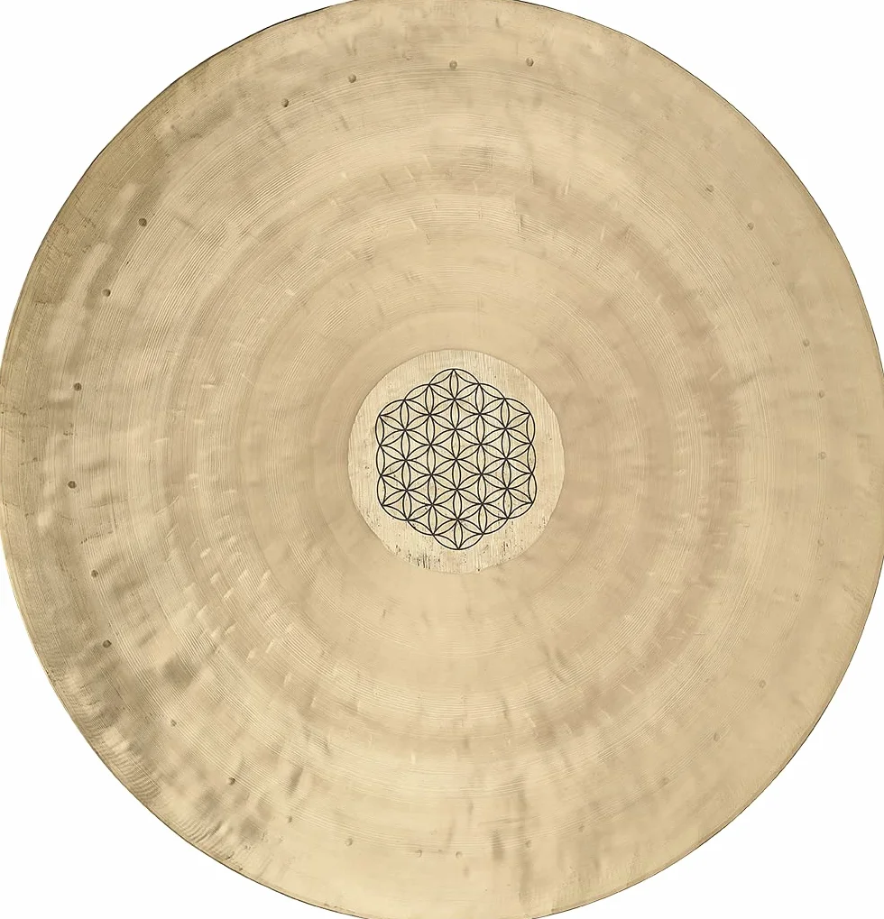 Meinl Sonic Energy - Gong del vento da 50,8 cm con battitore, fiore della vita, per terapia di guarigione del suono, meditazione e yoga, lega di bronzo, garanzia di 2 anni, (WGFOL20)