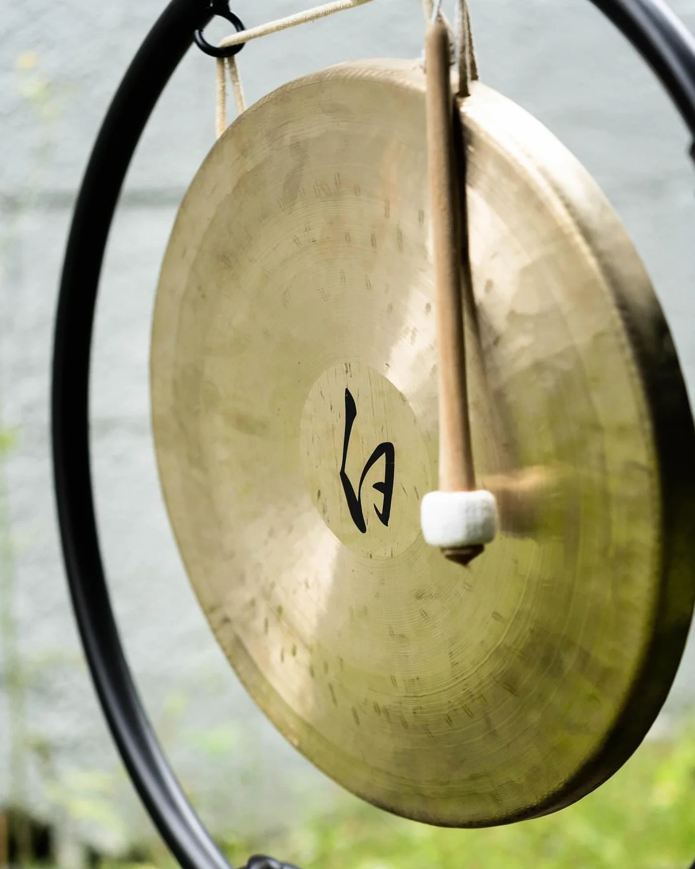 Meinl Wind Gong 30.48cm, 12", Include Frusta, WG-12