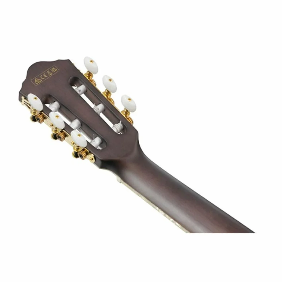 Ibanez Tim Henson TOD10N-TKF - Chitarra classica 4/4