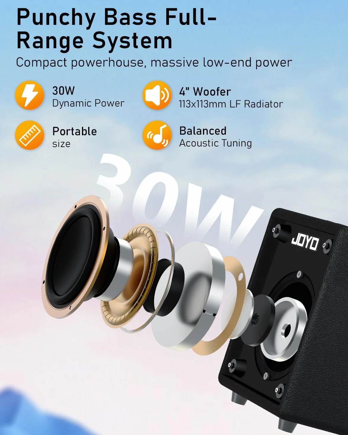 JOYO Altoparlante portatile da 30 W, con Bluetooth 5.1 + registrazione diretta OTG, EQ a 3 bande + compressore, esercizio di cuffie per bassisti, live streaming & solo (Vibe Cube BA-30, nero)