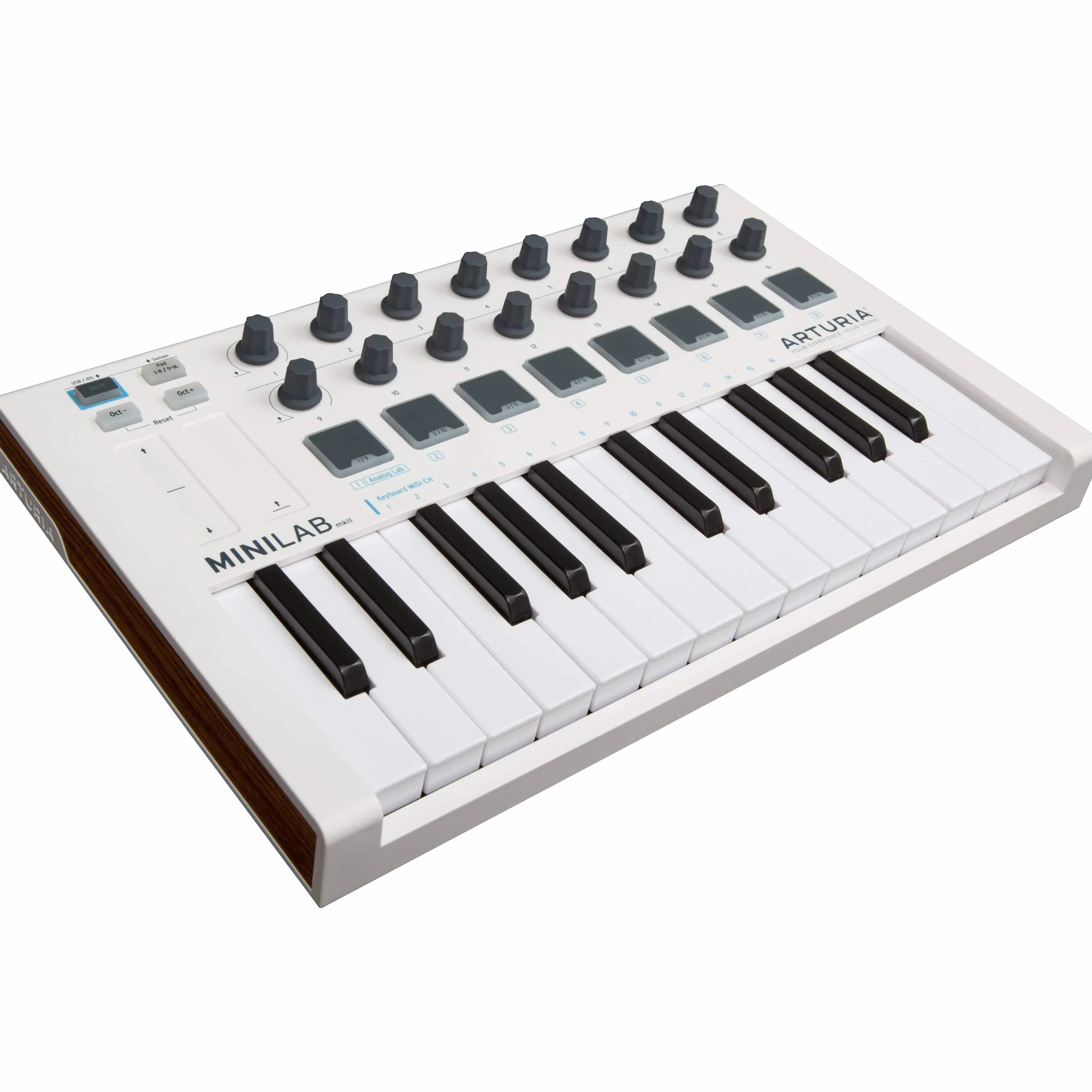 Arturia MiniLab MkII - Tastiera controller 25. Promozione speciale a tempo limitato. Include Mini V, Stage 73 V e Rev PLATE-140