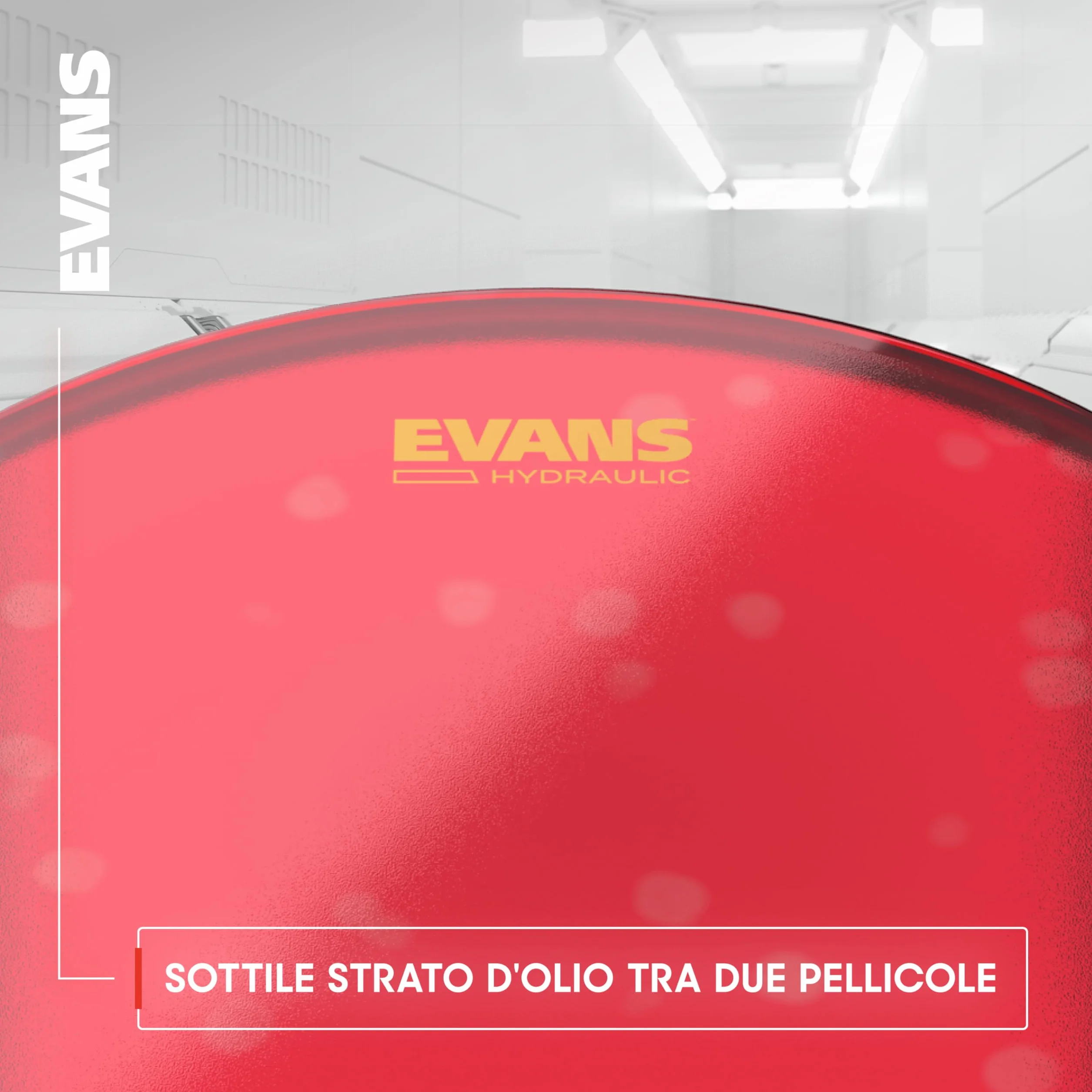 Evans Hydraulic Black 16", TT16HBG, Tom Batter - Pelle per Tom