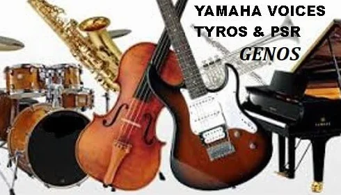 Espansione Voices USB, per YAMAHA Genos-Tyros-Psr S/SX DGX